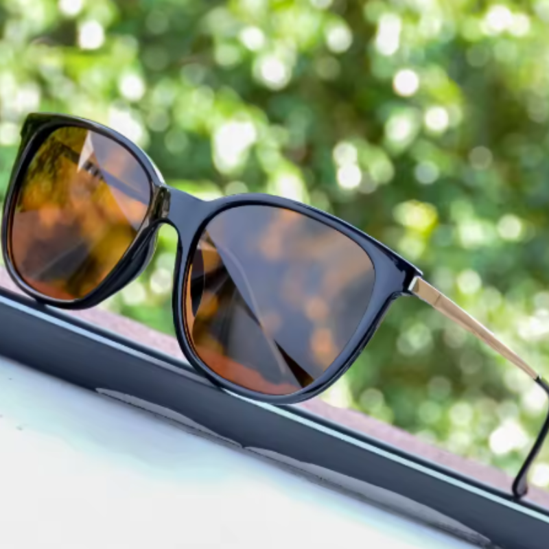 The Infinite Shop classic polarized sunglasses with black frames and brown lenses resting by a window with green outdoor background